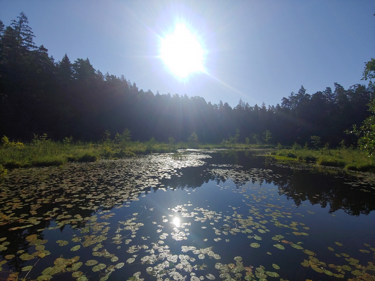 lądowisko Mazury Air Camp